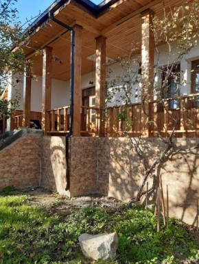 Orașul Pătârlagele